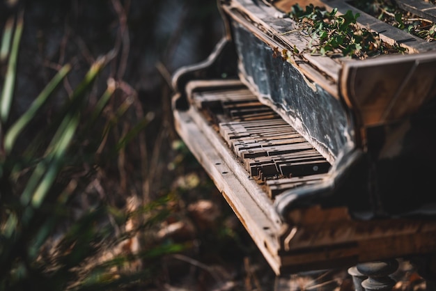 Ivy sur un vieux piano à queue abandonné