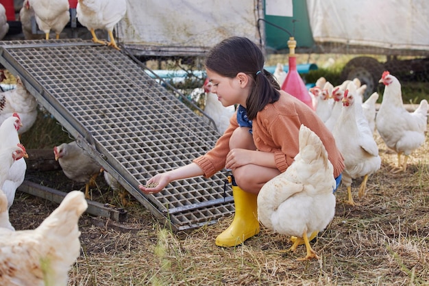 J'adore nourrir les poulets. Photo d'une adorable petite fille aidant dans une ferme avicole.