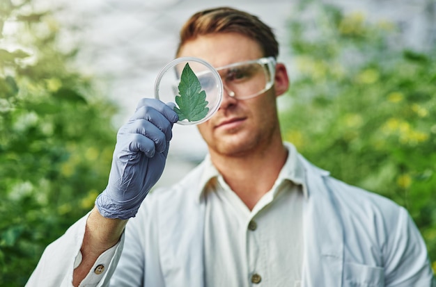 J'ai peut-être découvert une nouvelle espèce de plante Photo d'un beau jeune scientifique examinant un échantillon de plante à l'extérieur