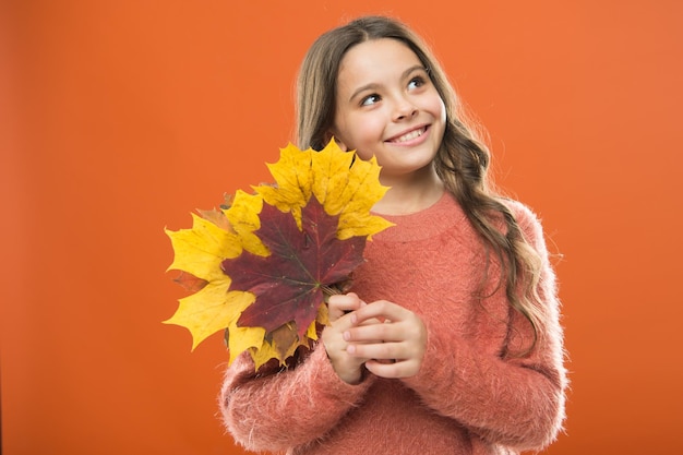 J'aimerais rester ici pour toujours. L'heure de l'école, l'enfance, le bonheur, l'automne, la saison, les feuilles tombées. Une petite fille heureuse avec une feuille d'érable.