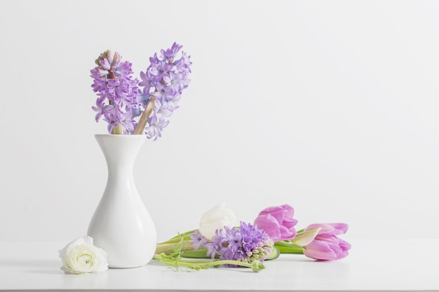 Jacinthe dans un vase sur fond blanc