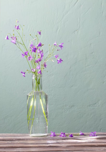 Jacinthes des bois en bouteille de verre sur fond de mur végétalisé