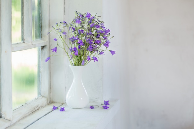 Jacinthes dans un vase sur le rebord de la fenêtre