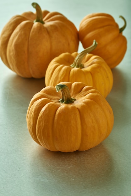 Jack O Lantern Halloween Citrouilles