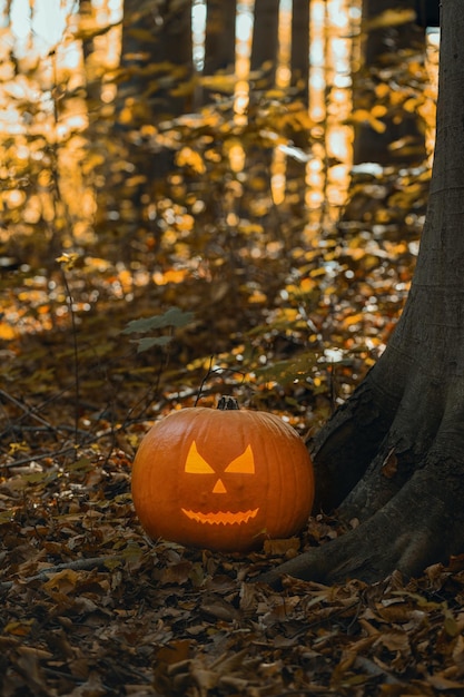 Jack o lanterne brillante dans la forêt d'automne Halloween peinture de citrouille sculptée Halloween fond de vacances