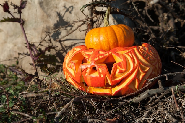 Jack O'Latern en extérieur