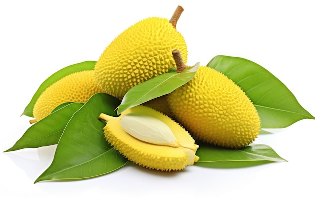 Jackfruit avec des feuilles sur fond blanc