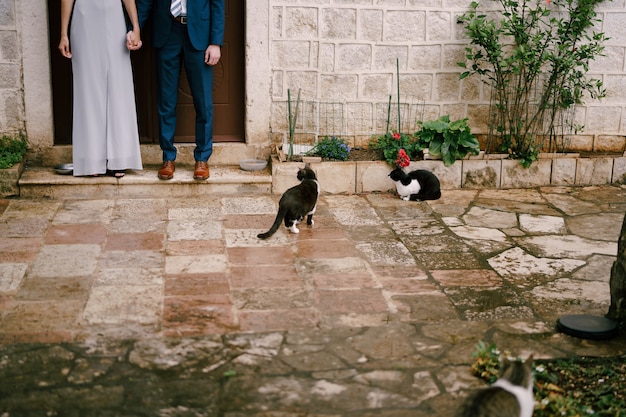 Jambes du marié et de la mariée qui ont joint les mains debout sur le seuil d'une maison en pierre dans la cour