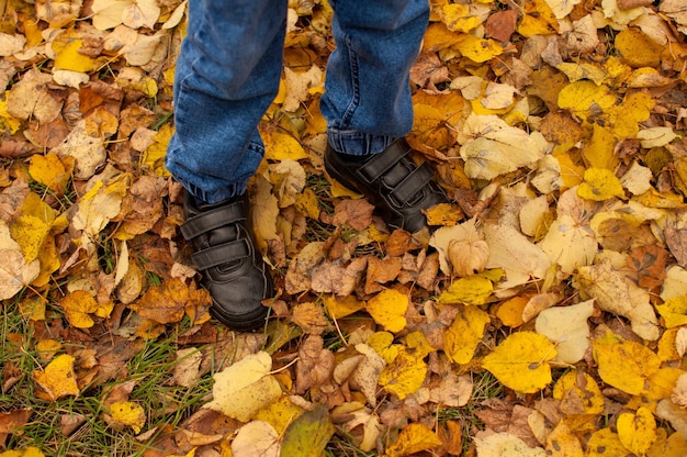 Les jambes d'un enfant en chaussures noires et jeans sur feuillage jaune d'automne