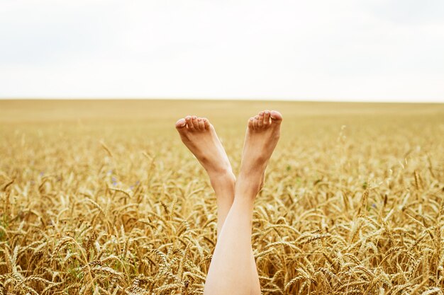 Jambes de femme sexy sur fond de ciel bleu et champ de blé concept de vacances d'été détente sur une journée ensoleillée ...