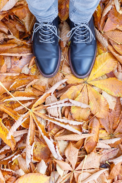 Jambes De L'homme En Chaussures / Bottes En Cuir Marron Debout Sur Les Feuilles Tombées D'un Châtaignier, Vue De Dessus, Gros Plan.