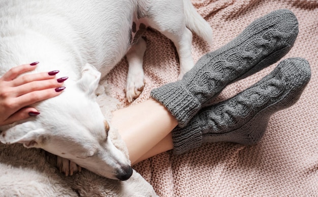 Jambes d'une jeune fille en chaussettes tricotées confortables