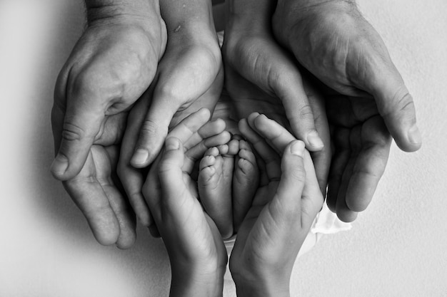 Jambes, orteils, pieds et talons d'un nouveau-né. Avec les mains des parents, du père, de la mère et de la sœur, le frère tient doucement les jambes de l'enfant. Photographie en noir et blanc. photo de haute qualité