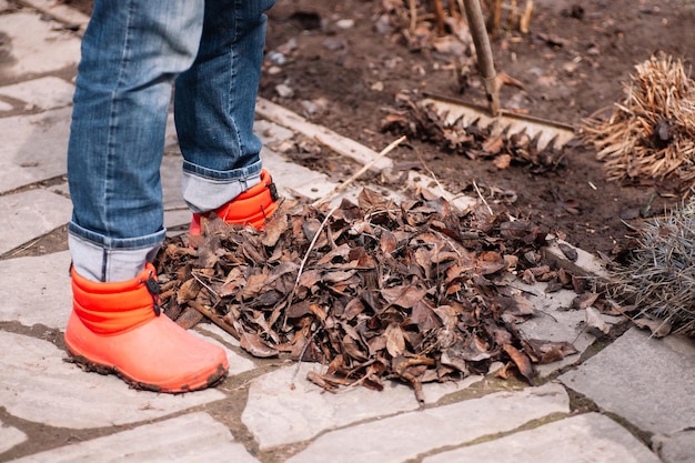 Jambes d'ouvrier agricole recadrée rassemblant le vieux feuillage de feuilles sèches tombées et nettoyant la zone à l'aide d'un râteau organique