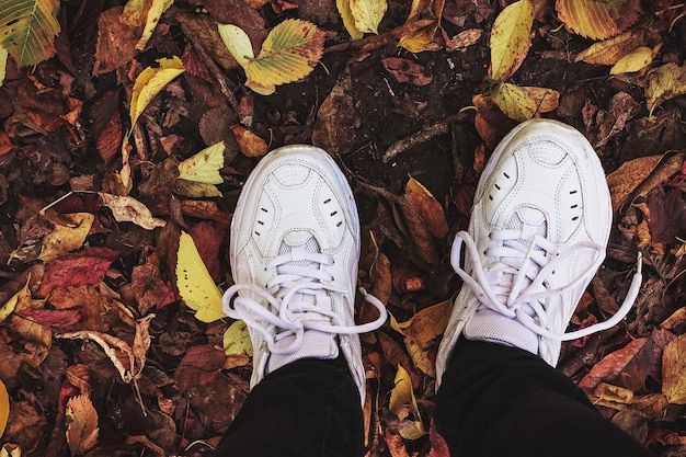 Jambes En Pantalon Noir Et Baskets Blanches Sur Les Feuilles D'automne.