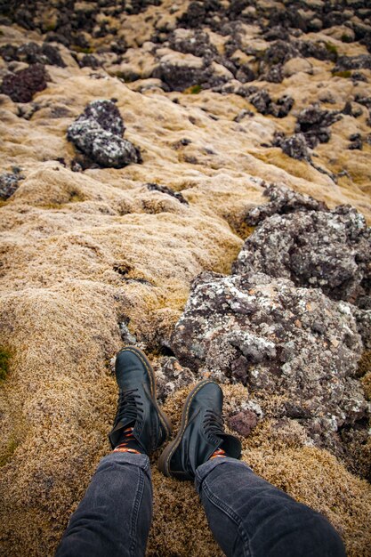 Jambes à pierres moussues en islande