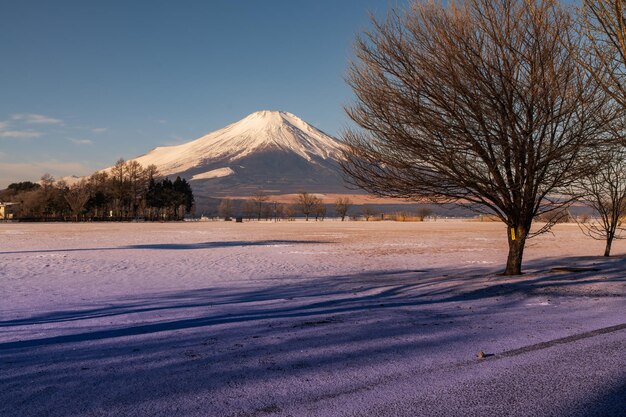 Japon, neige, Mt.Fuji, hiver, lac, feux d'artifice