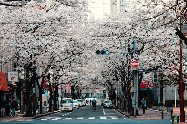 Japon Tokyo