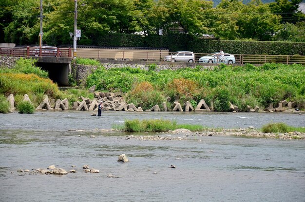 Des Japonais pêchant du poisson sur la rivière Hozugawa d'Arashiyama le 12 juillet 2015 à Kyoto au Japon