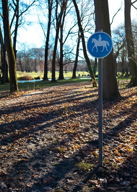 Jardin anglais, allée réservée au transit des chevaux