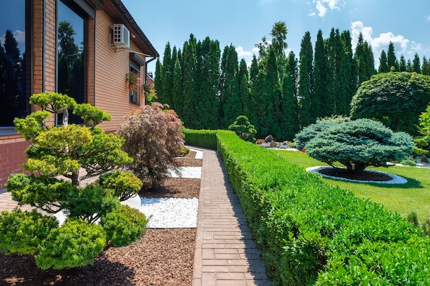 Photo jardin d'arrière-cour avec des buissons de bonsaï bien taillés et des buissons à côté de la villa