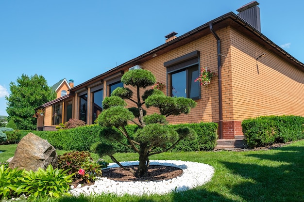Jardin d'arrière-cour avec des buissons de bonsaï et des buissons bien taillés devant la villa