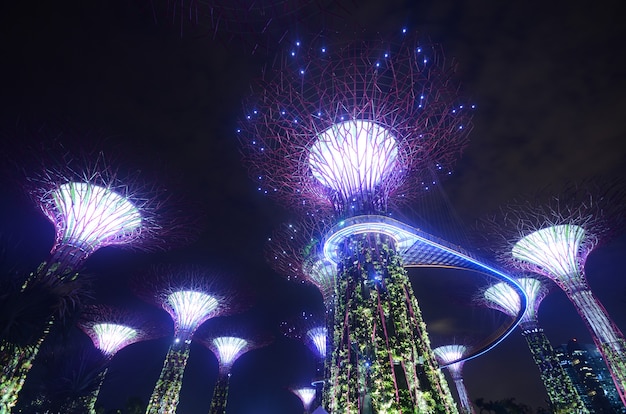 Jardin au bord de la baie à Singapour