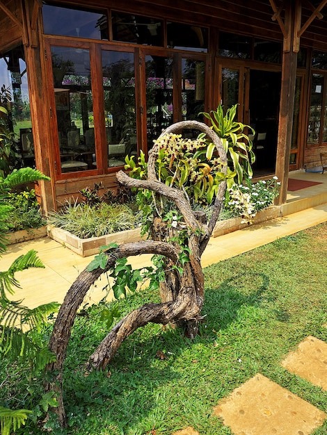 Le jardin au sud du Laos