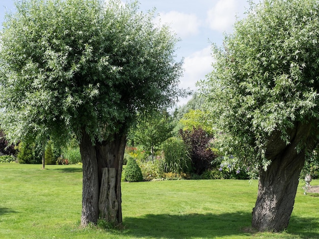 jardin aux Pays-Bas