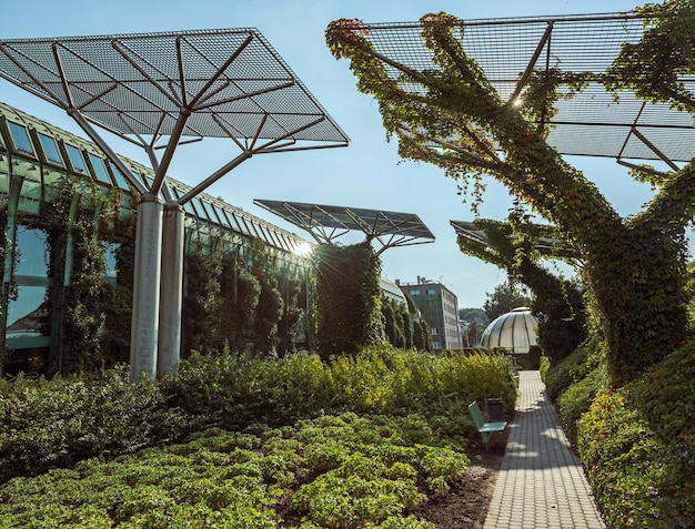 Jardin de la bibliothèque de Varsovie