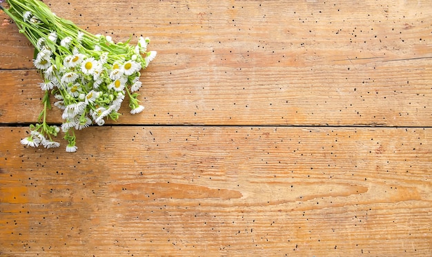 Jardin Blanc Petites Fleurs De Camomille Sur Fond En Bois. Bouquet Simple Sur La Texture De Vieilles Planches.