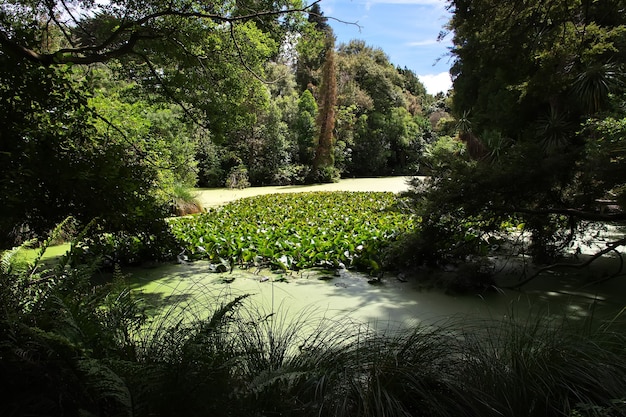 Jardin botanique de Christchurch en Nouvelle-Zélande