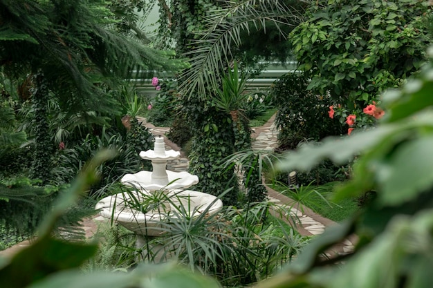 Jardin botanique intérieur avec fontaine