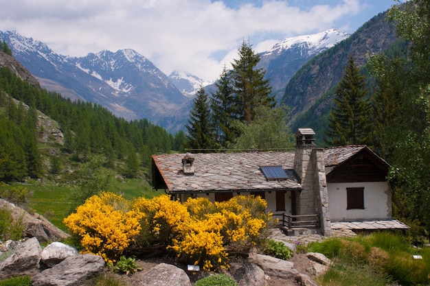 Jardin Botaniquevalnonteycogneval d'aosteitalie