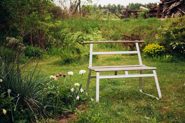 Photo jardin britannique à l'arrière avec un patio pavé et un banc en bois traditionnel.