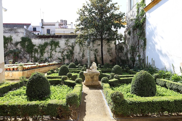 Le jardin de la Casa de Pilatos à Séville Andalousie Espagne