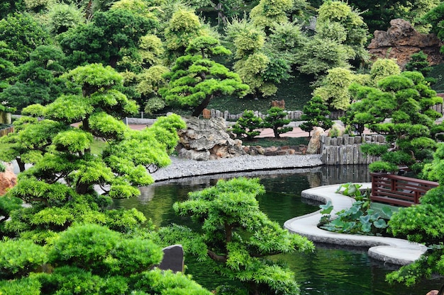 Photo jardin de chine