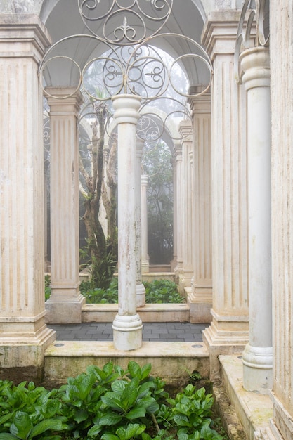 Photo un jardin avec des colonnes et un arbre en arrière-plan