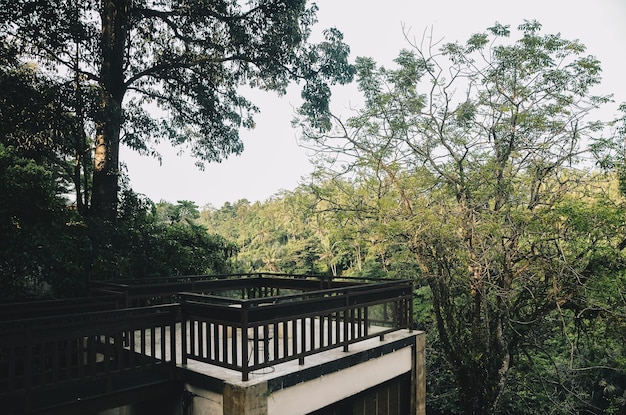 Jardin dans l'arrière-cour d'une villa confortable à Bali Indonésie