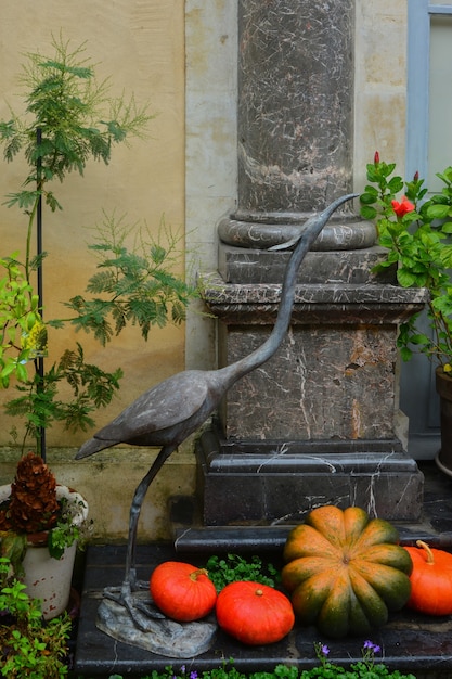 Jardin décoré de fleurs d'automne, de citrouilles et de plantes.