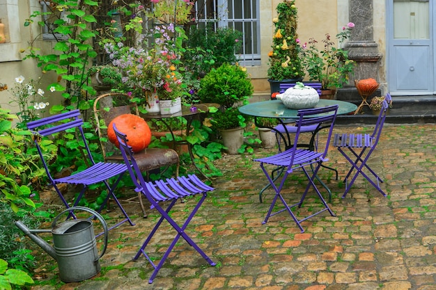 Photo jardin décoré de fleurs d'automne, de citrouilles et de plantes.