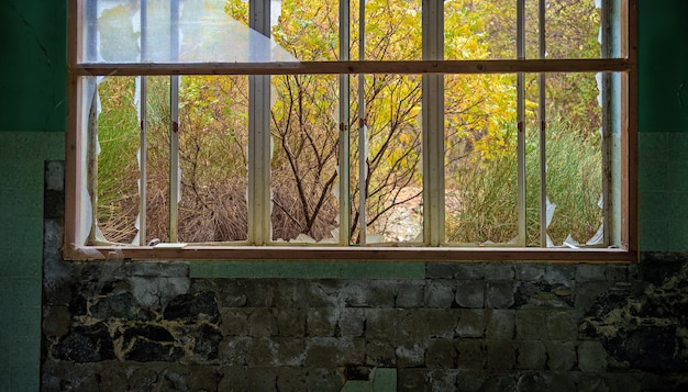 Jardin envahi en automne vue à travers la fenêtre de la maison abandonnée