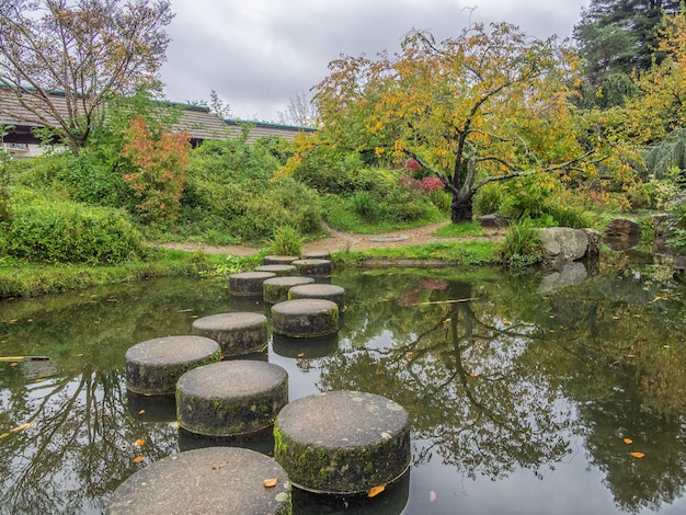 Jardin avec étang de style asiatique. Chemin de pierre dans un jardin d'eau japonais.