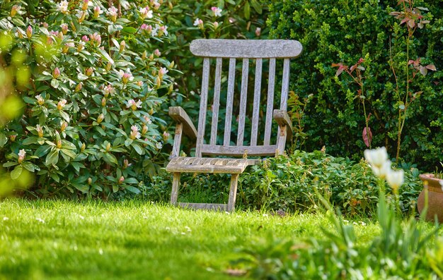 Jardin de fin d'été Une photo panoramique du jardin de fin d'été