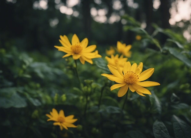 Photo un jardin de fleurs jaunes