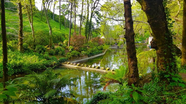 Jardin et fontaine à Sintra