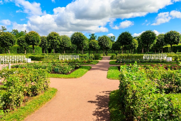 Jardin à la française dans le parc Catherine à Tsarskoïe Selo Pouchkine Russie