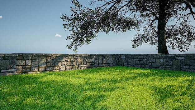 jardin d'herbe de rendu 3d avec arbre et mur