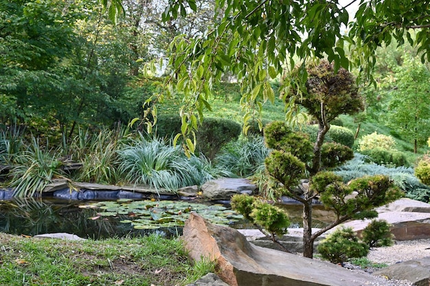 Jardin japonais dans le jardin botanique de la ville de Kyiv