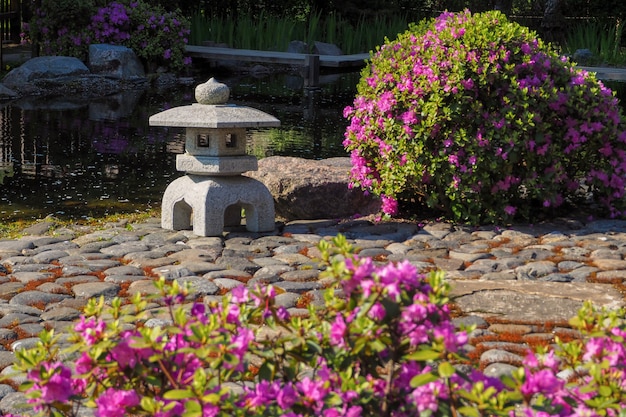 Jardin japonais. Début de floraison au printemps. Fond de fleurs de printemps.